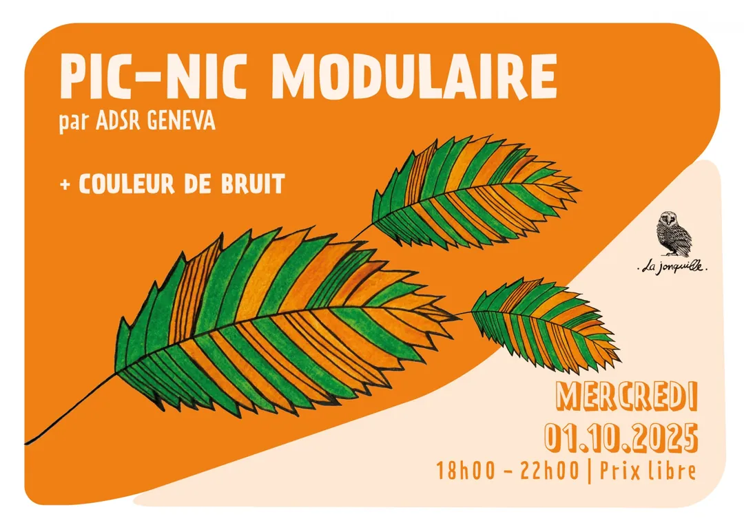 PIC-NIC MODULAIRE par ADSR GENEVA + COULEUR DE BRUIT
